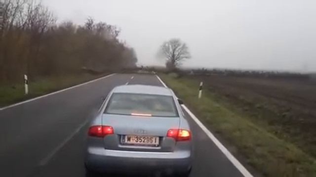 «Бесконечное» стадо оленей заблокировало дорогу смотреть онлайн