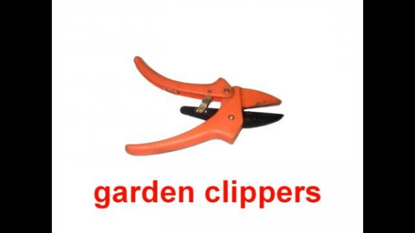 Карточки Домана. ENGLISH. Glenn Doman Flash Cards