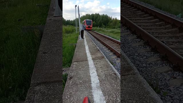 Прибытие поезда, идущего через лес смотреть онлайн