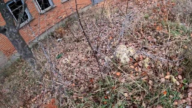 ПОИСК МЕДИ И МЕТАЛЛОЛОМА НА СВАЛКЕ В ГОРОДЕ! Нахожу Алюминиевые банки, Железо, Платы и Алюминий . смотреть онлайн