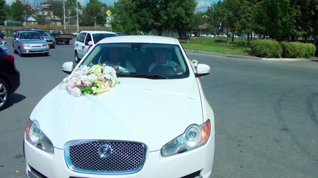 19.08 полностью