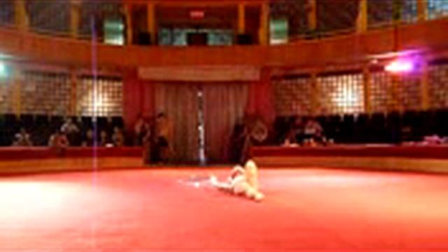 Жонглёр Татьяна Василенко смотреть онлайн