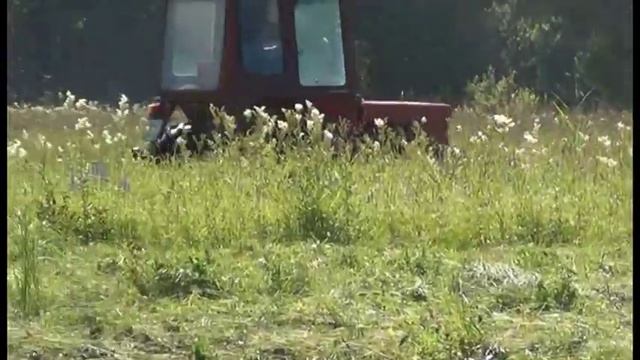 Окунево. Заливные луга. Косим сено.2014. смотреть онлайн