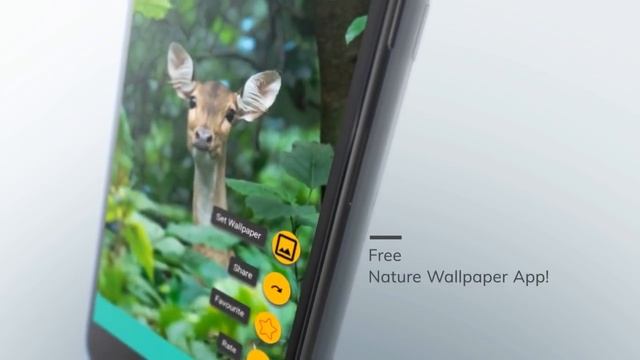 nature wallpaper hd android app смотреть онлайн