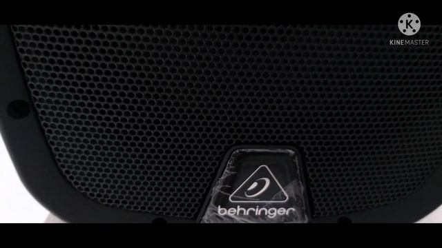 Behringer PK110A Speaker Unboxing смотреть онлайн