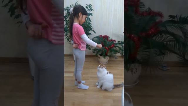 Кот Леопольд!🐈🐱🐱 смотреть онлайн