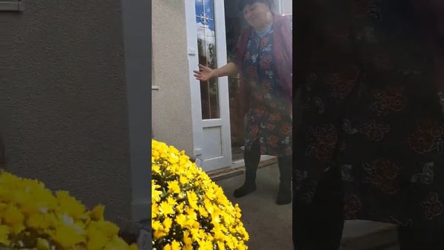 День Бабушек. День Пожилого Человека. 4 "В" класс смотреть онлайн