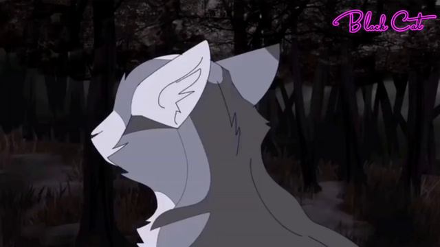 •Клип•-Коты Воители-"Колыбельная для принцессы"|Искра и Голубка|√Black Cat√ смотреть онлайн