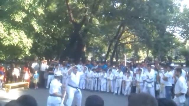 Hay Karateist :))) смотреть онлайн