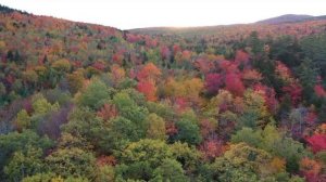 Бетховен Тишина музыка для души. Beethoven Silence music for the soul. Silencio, hermosa musica.