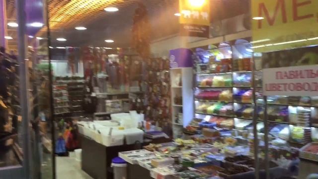 Обзор Торгового центра на ВДНХ - Останкино. смотреть онлайн