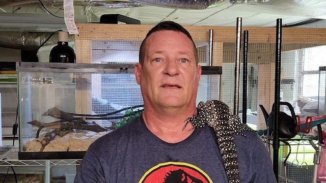 ? Argentine Black & White  Tegu CARE GUIDE