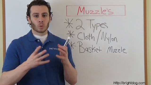 Are Muzzles Cruel? How To Use A Muzzle For Dog Training. смотреть онлайн