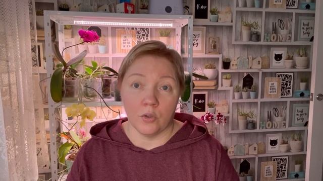 340.Сдала кровь/ Всю ночь не спала/Поднялась температура смотреть онлайн
