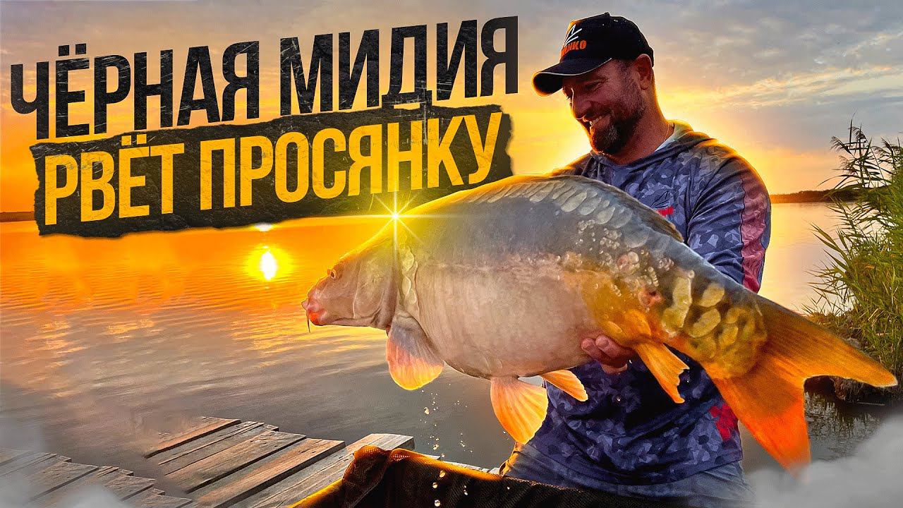 Огромные Карпы водоема "Разлив" !!! Новые Рекорды !!! смотреть онлайн