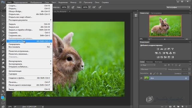 Photoshop CC с нуля(1 часть) смотреть онлайн