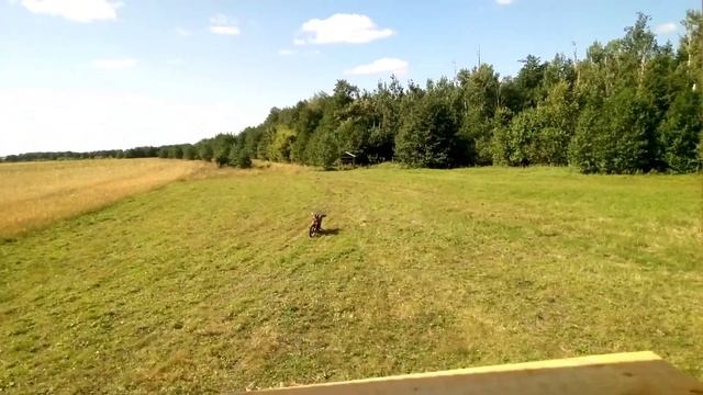 Прогулка в лес с сыном на мотоцикле Минск