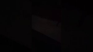 сигнализация Chevrolet lanos