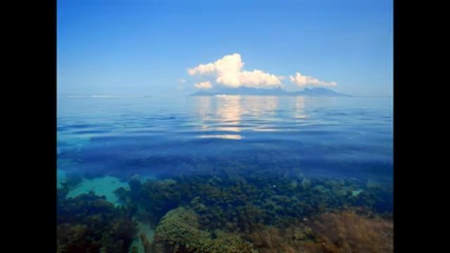 Всемирный день китов и дельфинов! смотреть онлайн