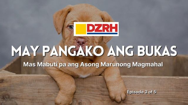 MAY PANGAKO ANG BUKAS︱Mas mabuti pa ang asong marunong magmahal EP. 3 смотреть онлайн