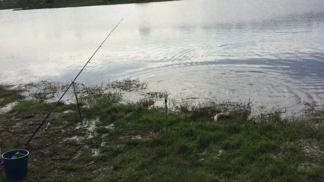 Утренний онлайн с общего водоёма !!! смотреть онлайн