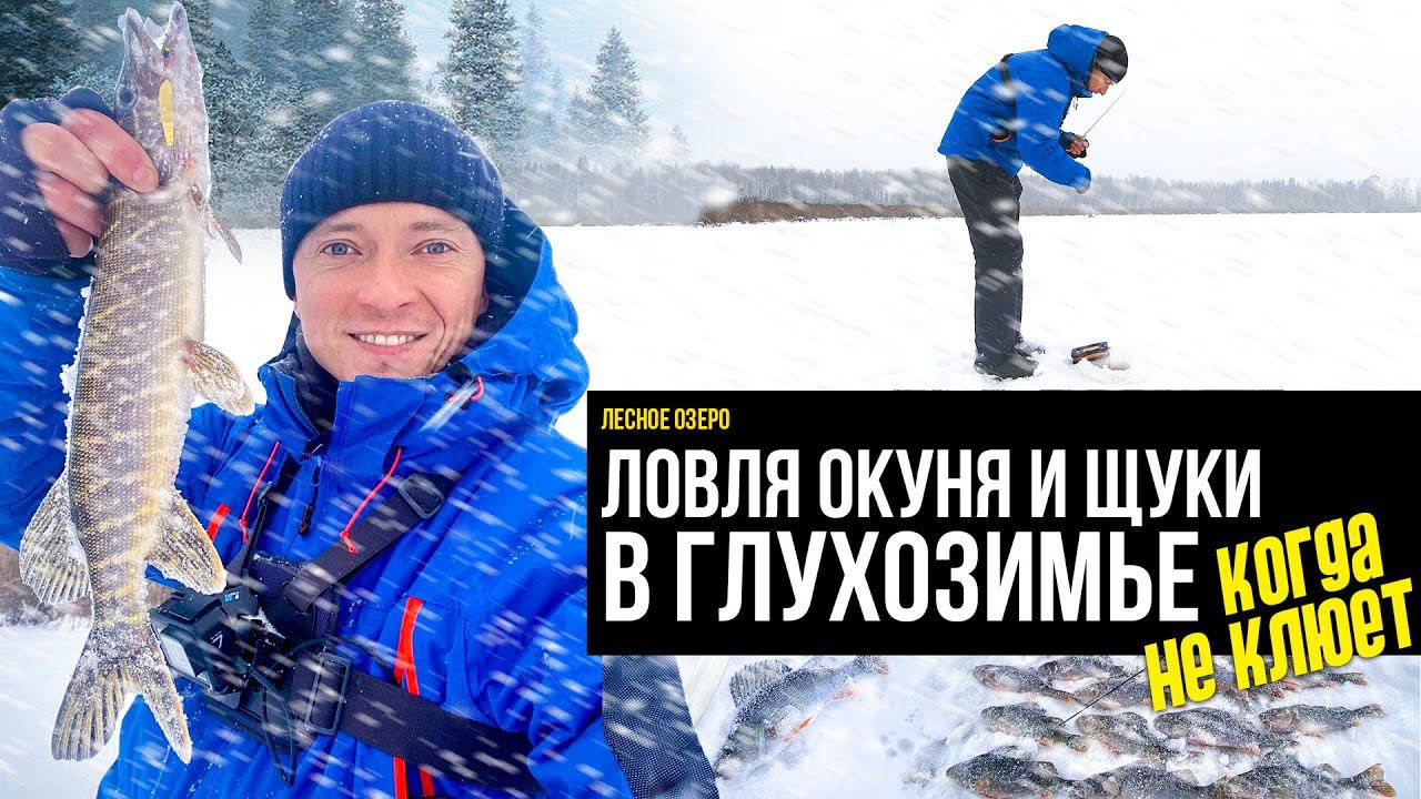 Лесное озеро. Ловля окуня и щуки в ГЛУХОЗИМЬЕ, когда не клюет. смотреть онлайн