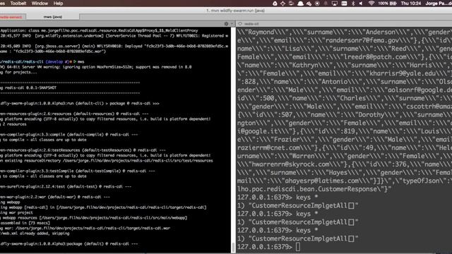 Tech-talk: Easy Cache with CDI and Redis смотреть онлайн