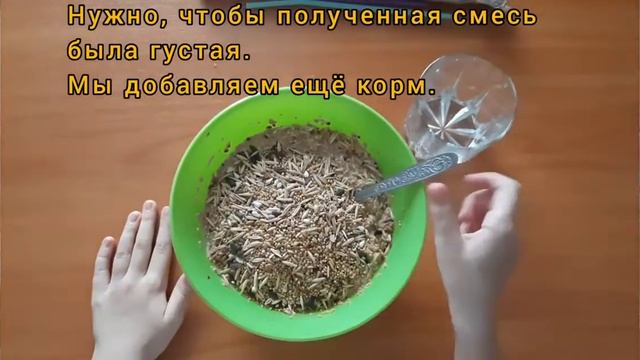 Эко-кормушки для птиц??? смотреть онлайн