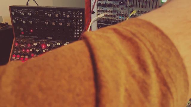 Moog Subharmonicon and Mother-32, QuBit Data Bender, Chase Bliss Reverse Mode C смотреть онлайн
