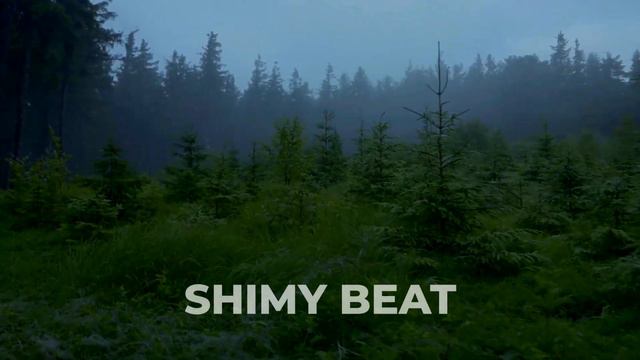 (FREE) MACAN x XCHO x BAKR TYPE BEAT - ПРОХОДНЯК(prod. Shimy) смотреть онлайн