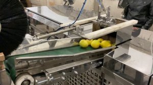 Линия по дозированию и фасовке яблок в полиэтиленовый пакет (полурукав) производства SEMER (СЕМЕР).