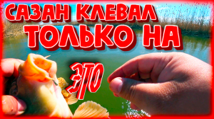 Сазан клевал только на это. рыбалка весной в Астрахани 2024