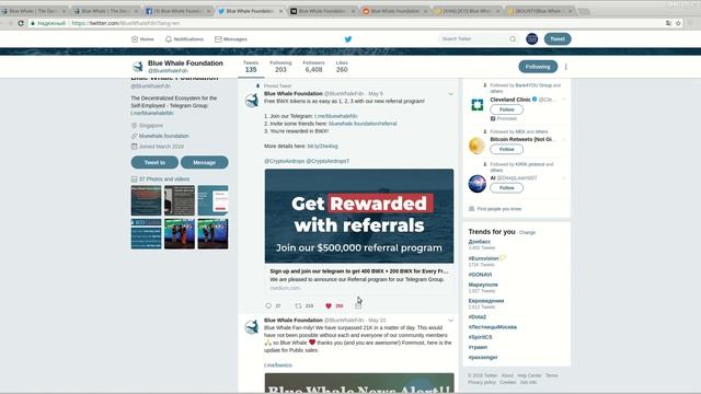 Blue Whale Foundation - знакомимся с социальными сетями проекта. (author Burmik123) смотреть онлайн