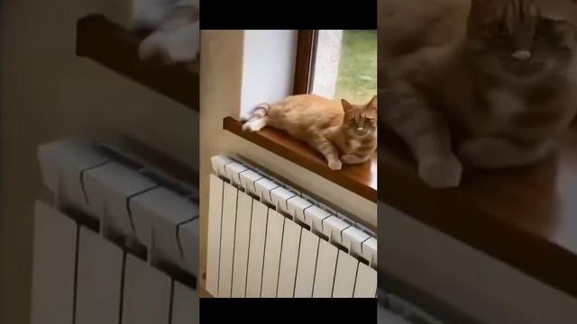 эх Семëн смотреть онлайн