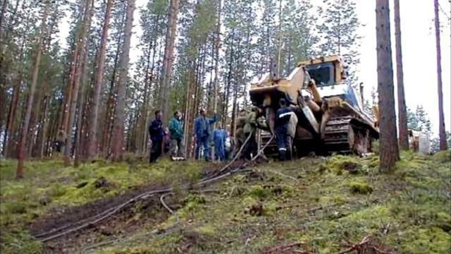 Мальчик прогуливался по лесу и обнаружил старые следы которые вели в озеро смотреть онлайн