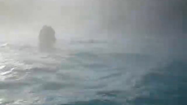 2008-11-09. Омск. Открытый бассик Альбатрос смотреть онлайн