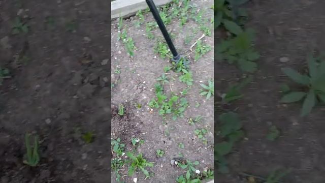 Культиватор мини с выдвижной ручкой ＂ТОРНАДО＂ватор мини с выдвижной ручкой "ТОРНАДО" смотреть онлайн