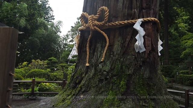 Самые высокие ворота храма в Японии/ Fuji Sengen Shrine смотреть онлайн