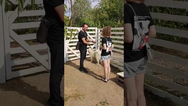 Развлекательный парк Сказка ?Москва смотреть онлайн