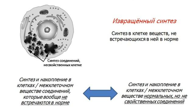 Дистрофии. Общие вопросы