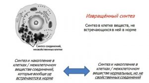 Дистрофии. Общие вопросы