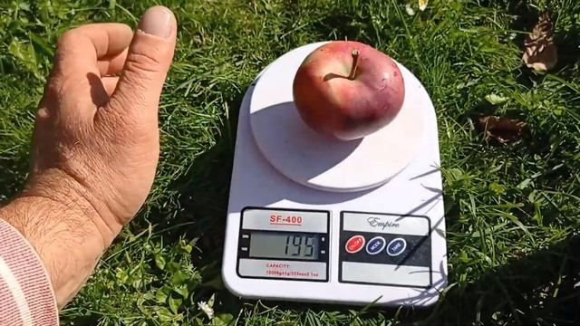 Сорт Старкримсон смотреть онлайн