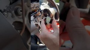 Toyota Prado 150 cruise control install/Replacement