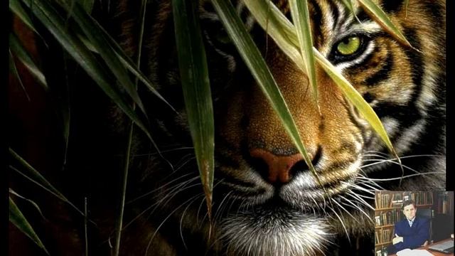 Настрой на победу. Смотреть перед соревнованиями. Фрагмент. Евгений Кох смотреть онлайн