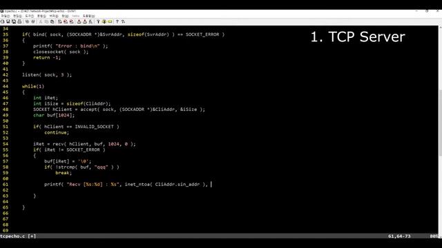 [Network] Winsock Network Programming using C/C++ : TCP Echo Server смотреть онлайн