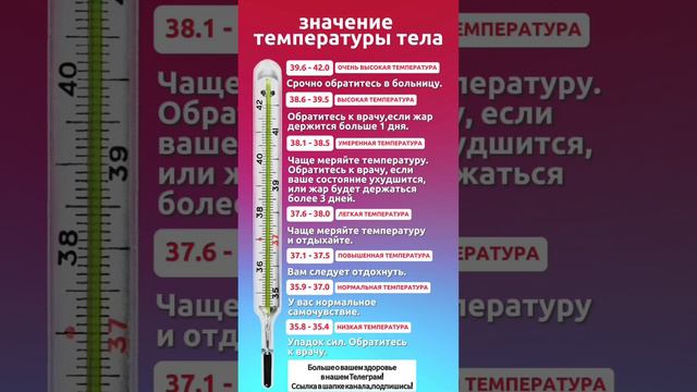 Что значит температура тела 🌡 смотреть онлайн