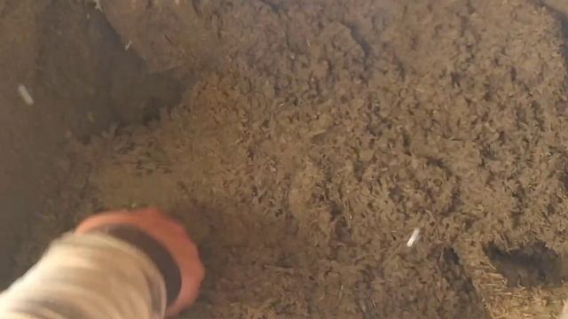 Чем утеплить потолок бани со стороны холодного чердака? Дедовский метод по новой технологии! смотреть онлайн