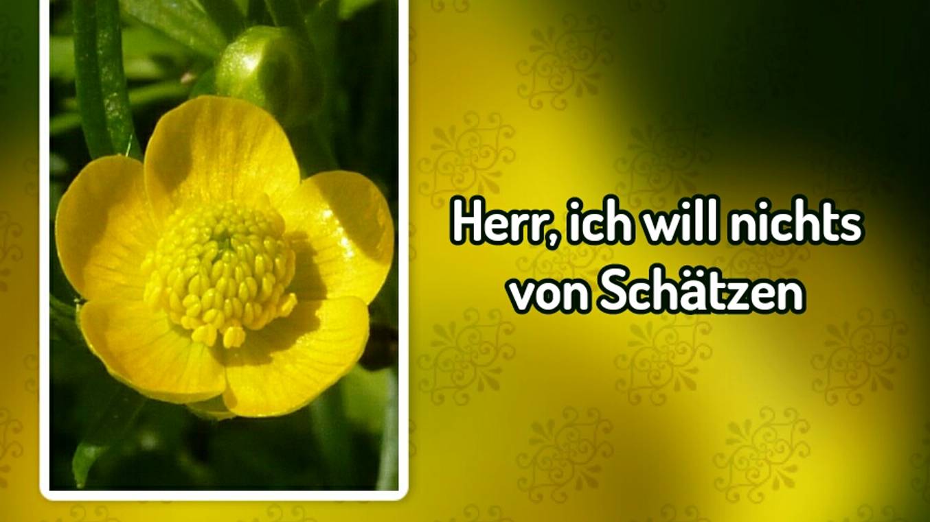 Herr, ich will nichts von Schӓtzen (-) смотреть онлайн
