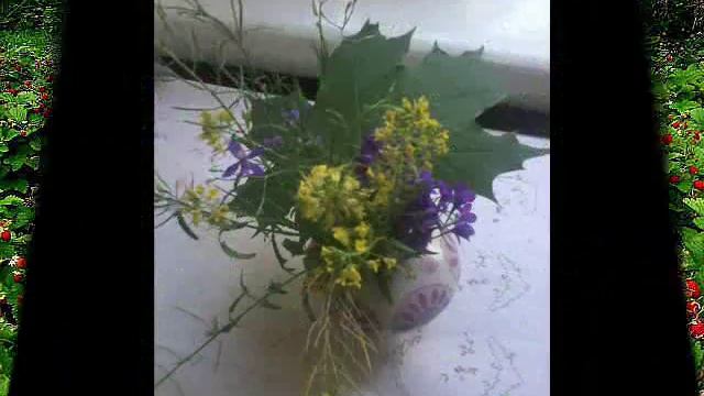 Ане в День рождения.