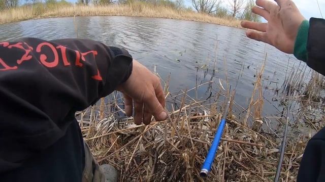 Красный карась, линь, ловля на удочку в конце апреля. Рыбалка с сыном смотреть онлайн